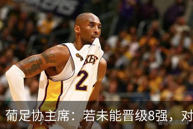 葡足协主席：若未能晋级8强，对葡萄牙来说将是糟糕的世界杯之旅